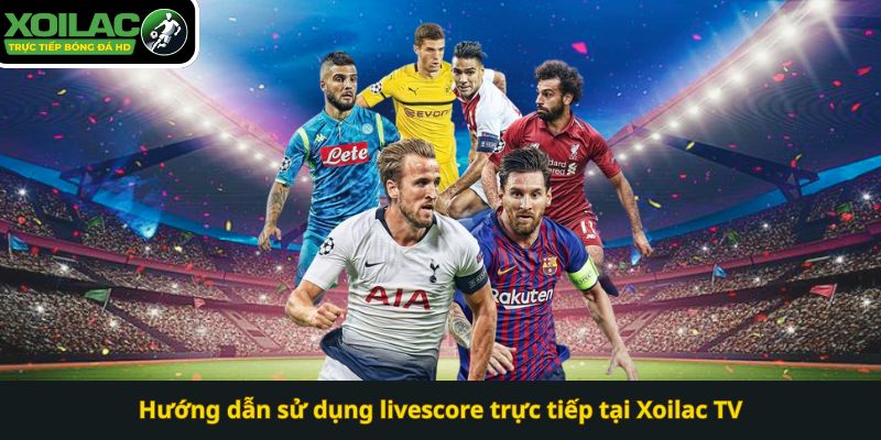 Hướng dẫn sử dụng livescore trực tiếp tại Xoilac TV