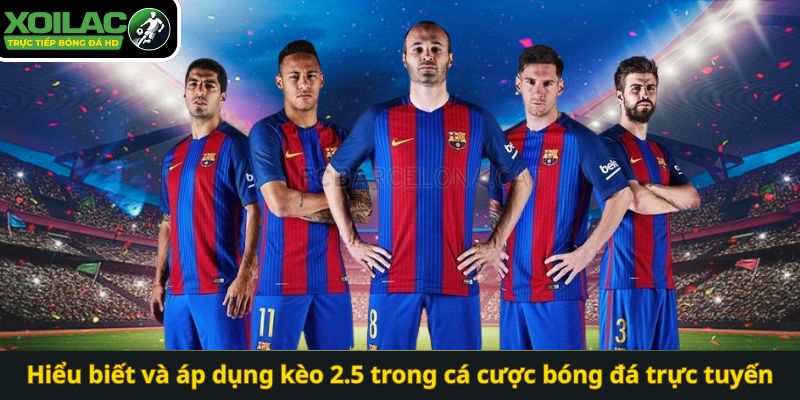 Hiểu biết và áp dụng kèo 2.5 trong cá cược bóng đá trực tuyến