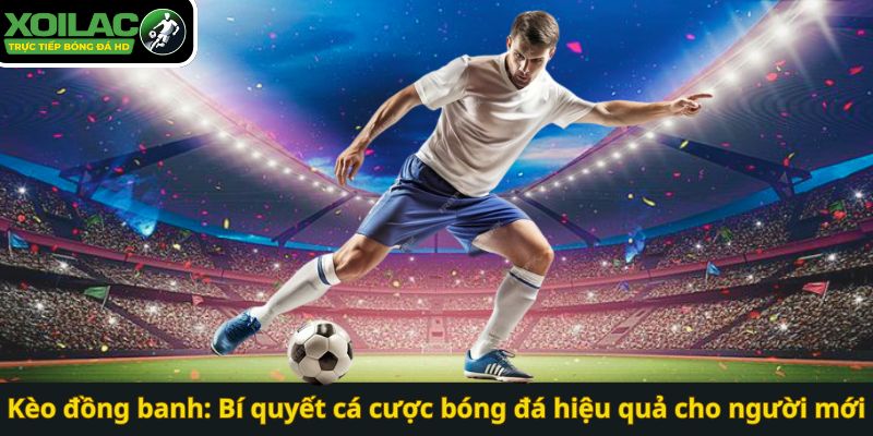 Kèo đồng banh: Bí quyết cá cược bóng đá hiệu quả cho người mới