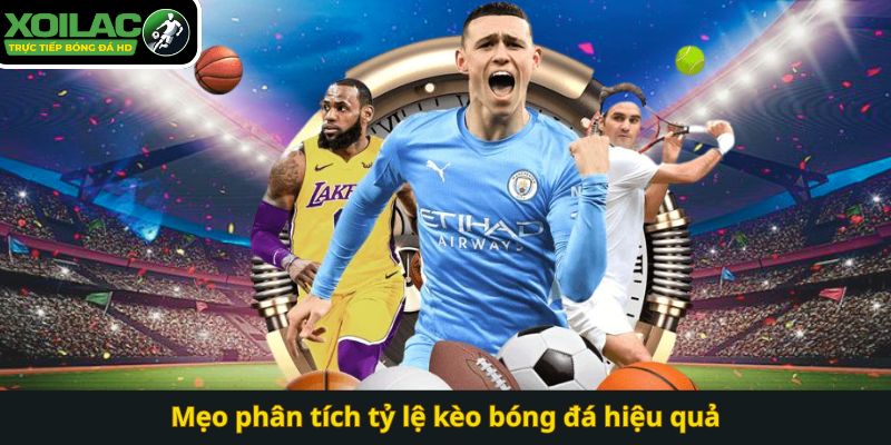 Mẹo phân tích tỷ lệ kèo bóng đá hiệu quả