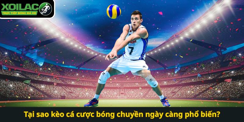 Tại sao kèo cá cược bóng chuyền ngày càng phổ biến?